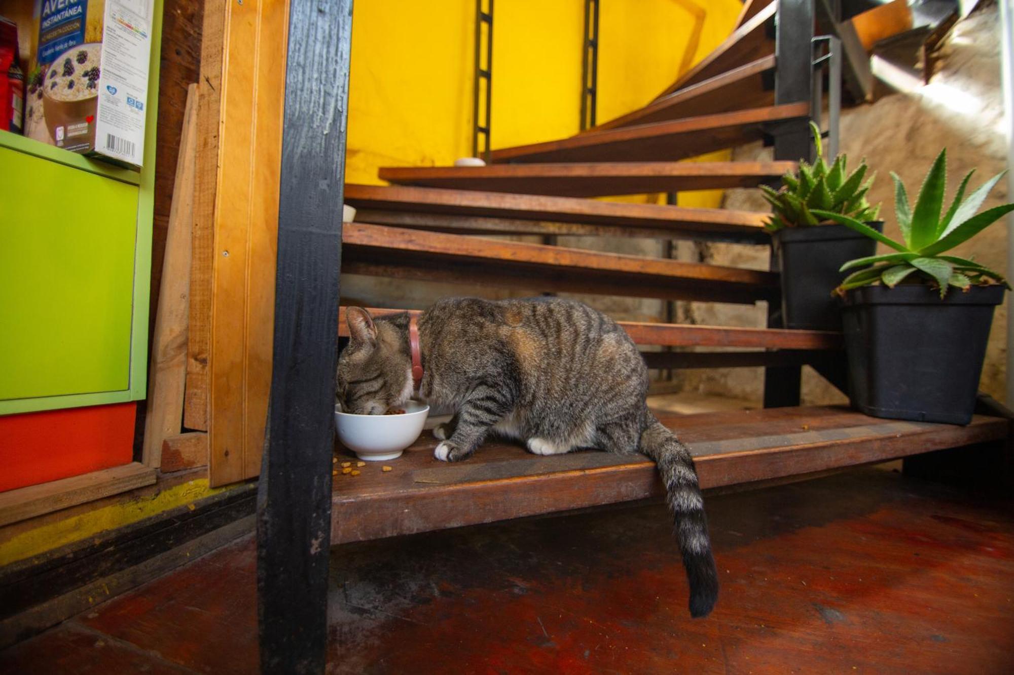 La Casa Del Puerto, Hostal Cultural, Cerro Alegre Valparaíso Buitenkant foto