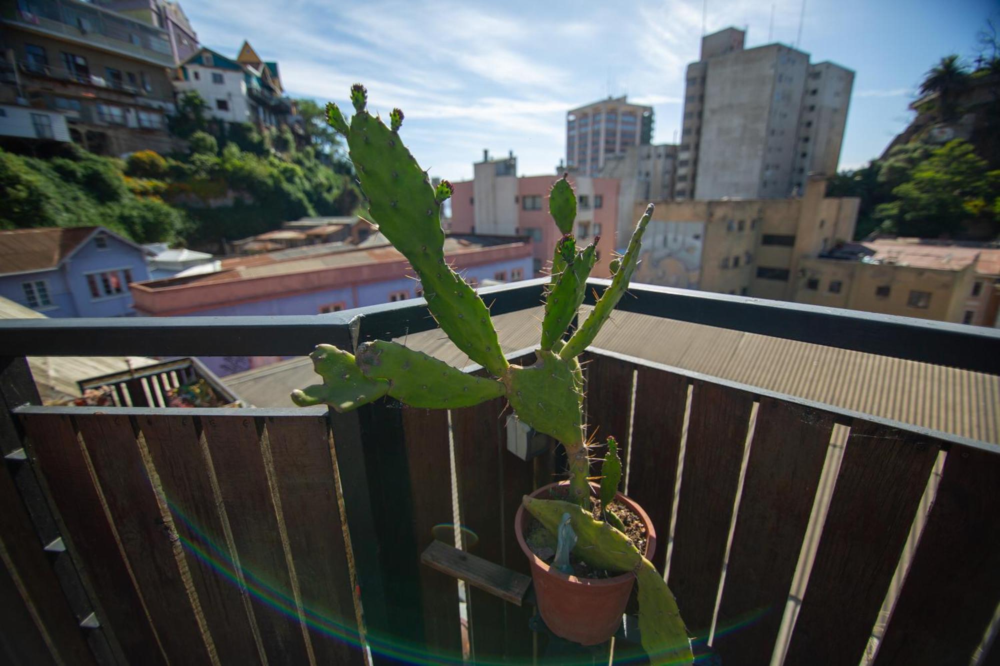 La Casa Del Puerto, Hostal Cultural, Cerro Alegre Valparaíso Buitenkant foto