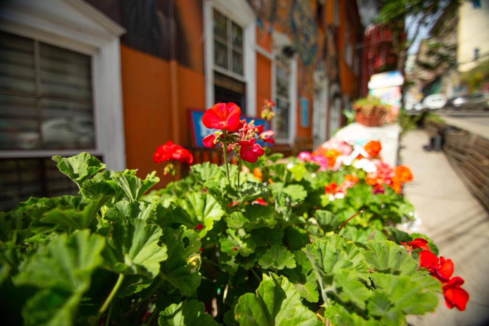 La Casa Del Puerto, Hostal Cultural, Cerro Alegre Valparaíso Buitenkant foto